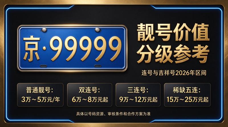 北京新能源车牌照租赁服务展示